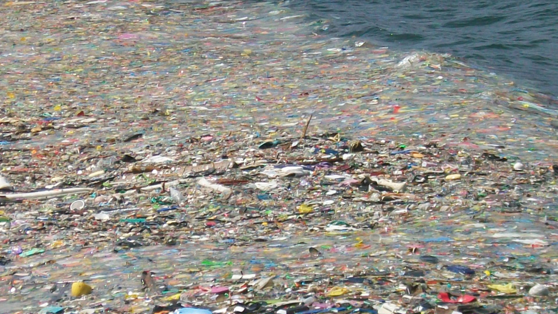 Pacific Garbage Patch Size